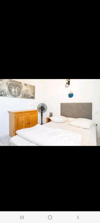 Villa 6 Couchages Spa Privatif, Acces Direct Mer, Piscine Le Barcarès Eksteriør billede
